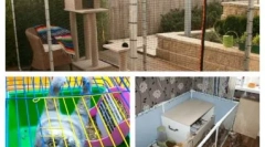 Feline plavirni u apartmanu ili seoskoj kući: kako odabrati ili učiniti sami